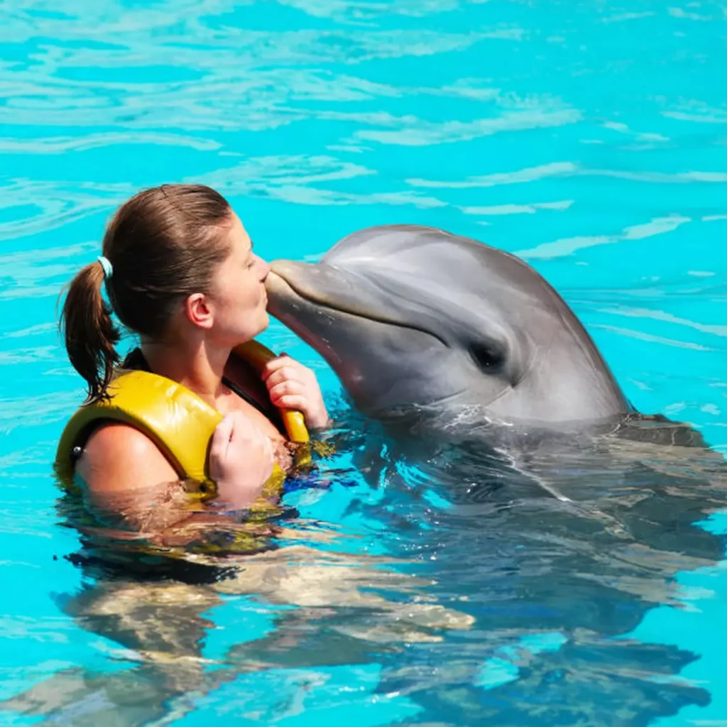 Nager avec des dauphins : le guide complet pour vivre ce rêve sans le gâcher dauphins et femme