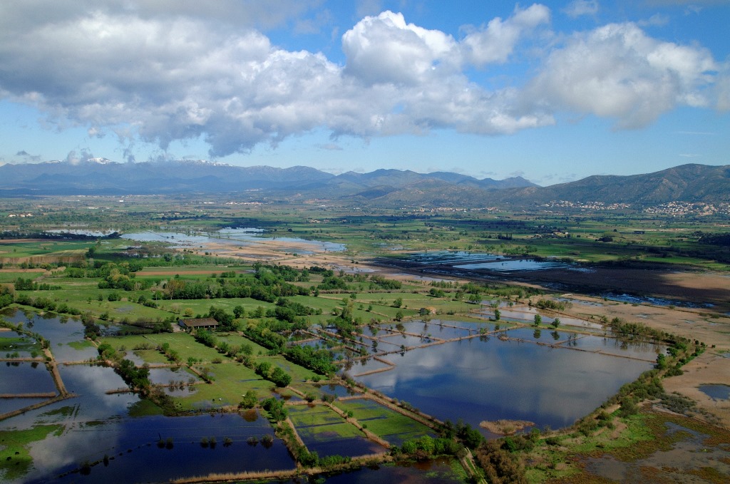 Empuriabrava : que faire dans la « Venise espagnole » en 2026 ? le parc naturel des aiguamolls empuriabrava