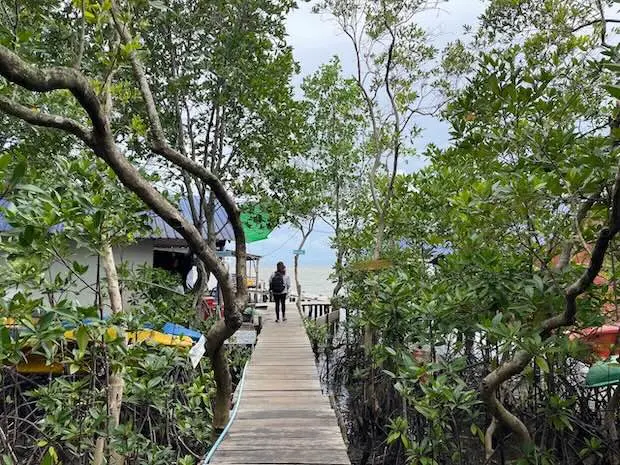 Krong Kampot : guide complet 2026 pour visiter la perle du sud cambodgien un20decc20a8020secc20gra82cecc20l80cc%81cotourisme