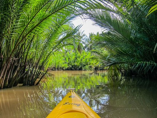 Krong Kampot : guide complet 2026 pour visiter la perle du sud cambodgien kampot the green cathedral