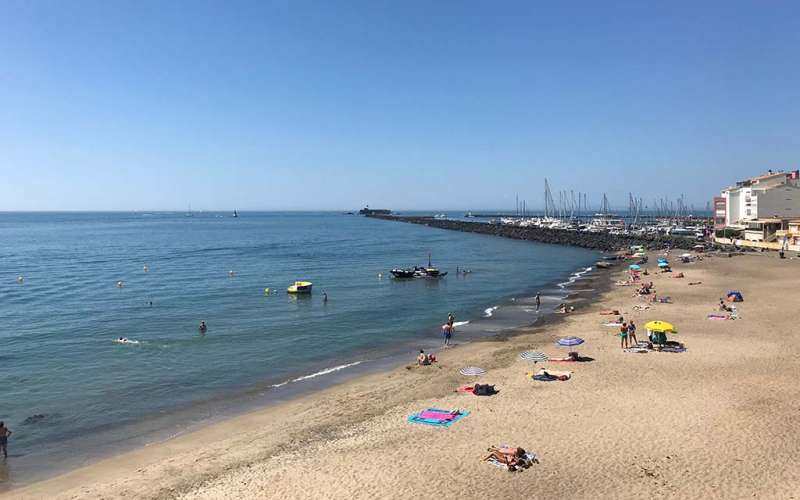 la plagette