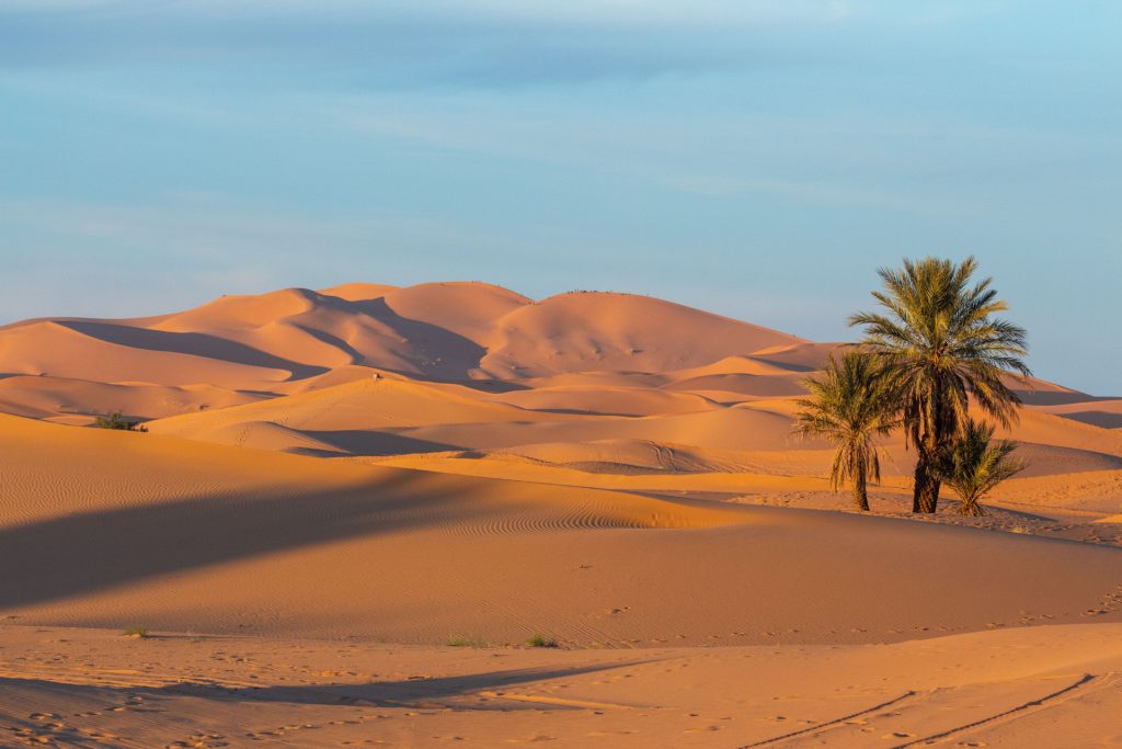 Maroc en décembre : météo, budget et bonnes adresses pour un hiver au soleil ☀️ porte du desert maroc
